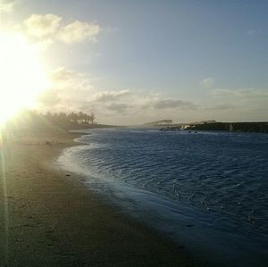 Meet your Posher, Elsa